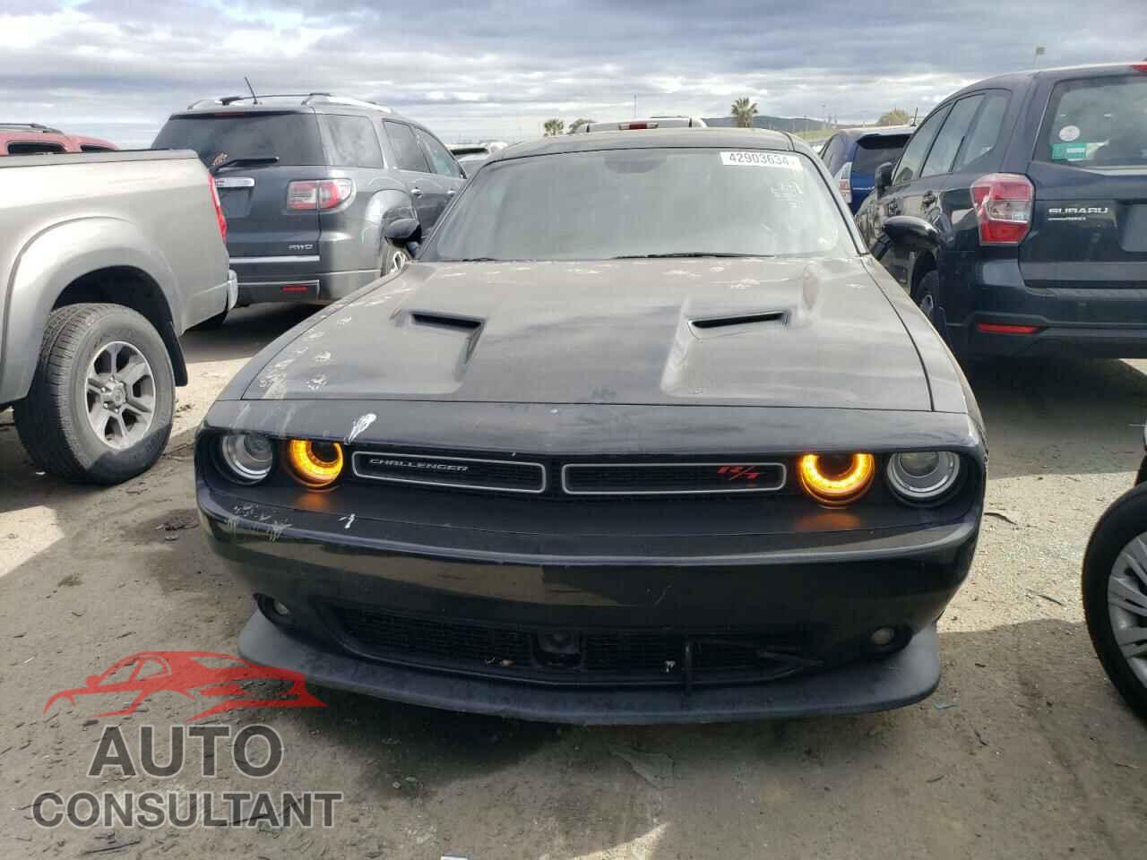 DODGE CHALLENGER 2016 - 2C3CDZFJ6GH337689
