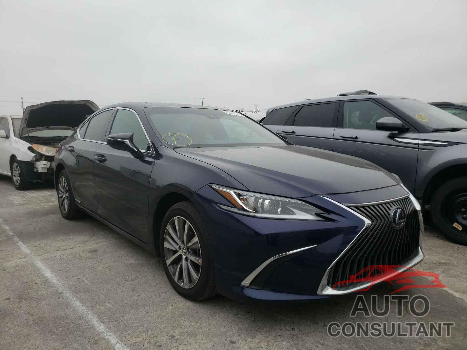 LEXUS ES300 2020 - 58AC21B12LU009237