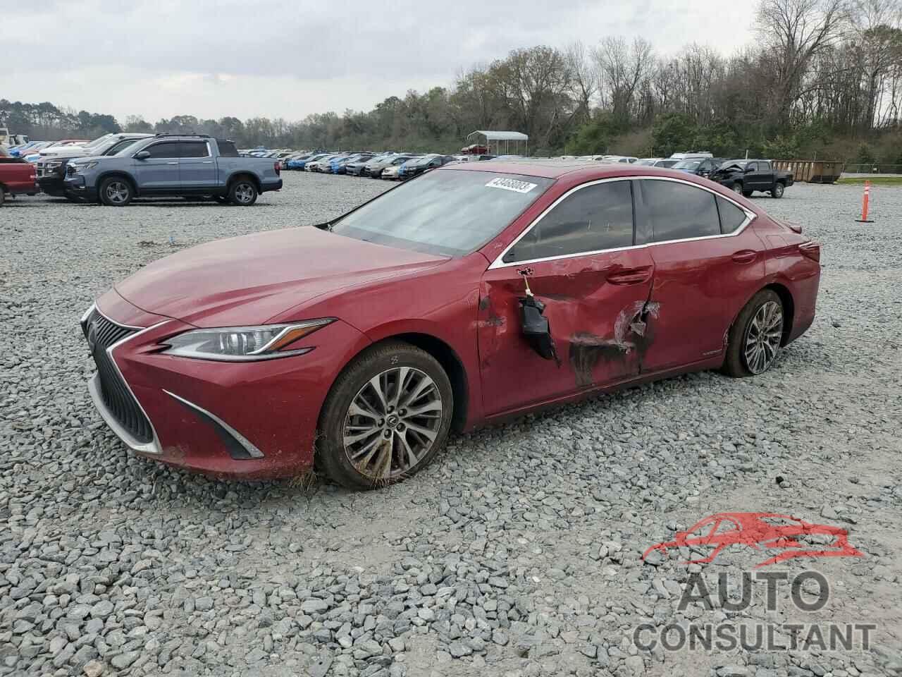 LEXUS ES300 2019 - JTHB21B17K2029712