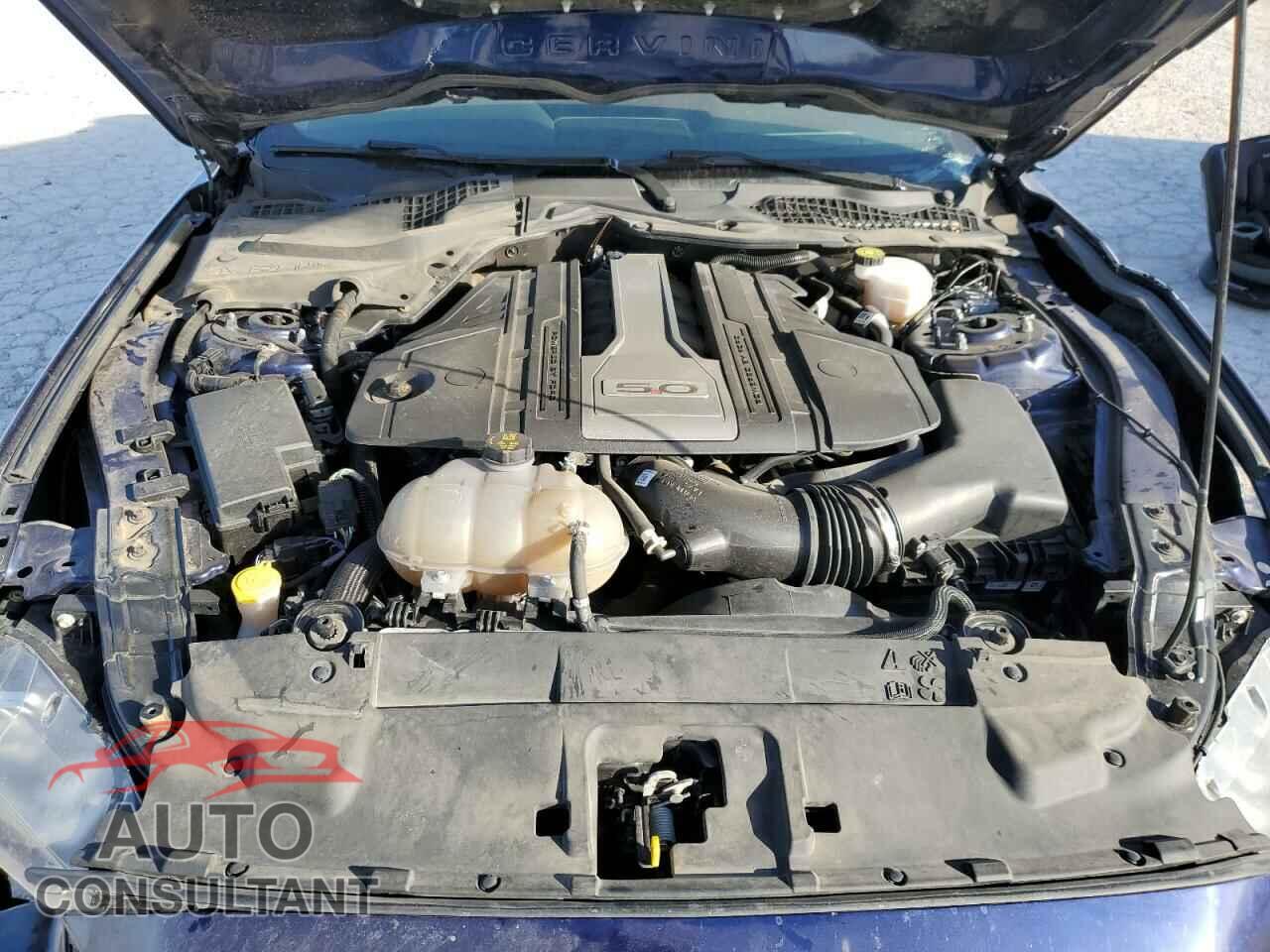 FORD MUSTANG 2019 - 1FA6P8CF5K5192984