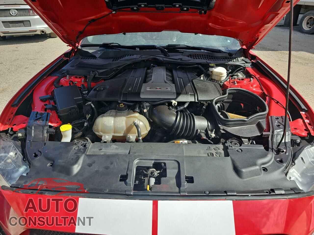 FORD MUSTANG 2019 - 1FA6P8CF9K5194351