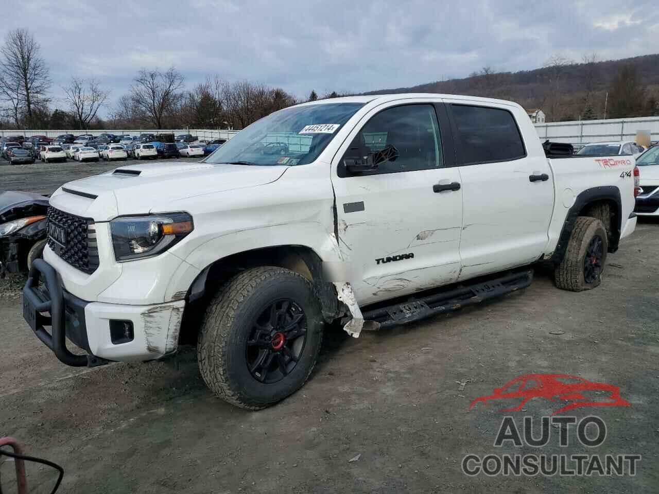 TOYOTA TUNDRA 2020 - 5TFDY5F14LX955709