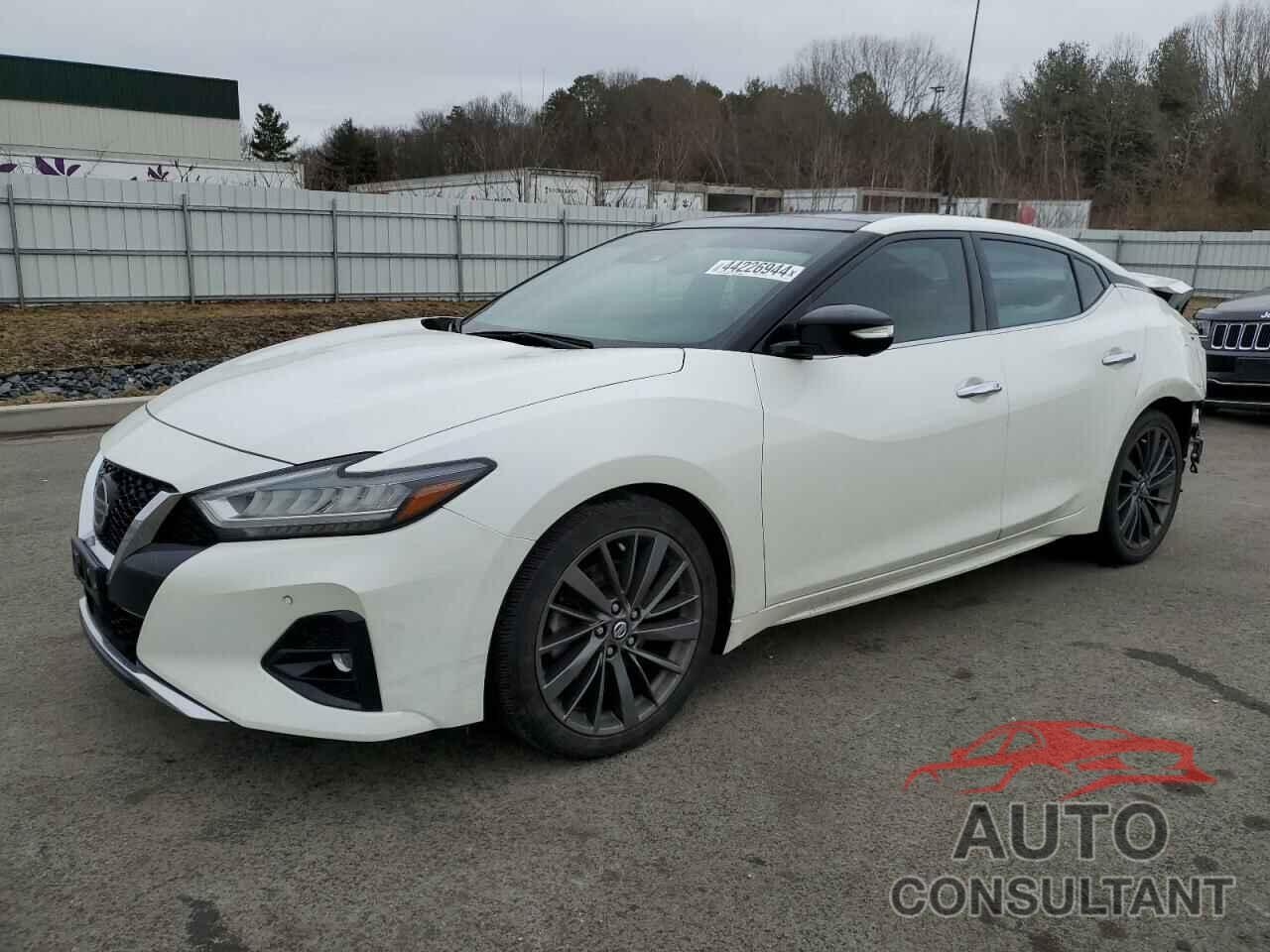 NISSAN MAXIMA 2019 - 1N4AA6AV7KC381450