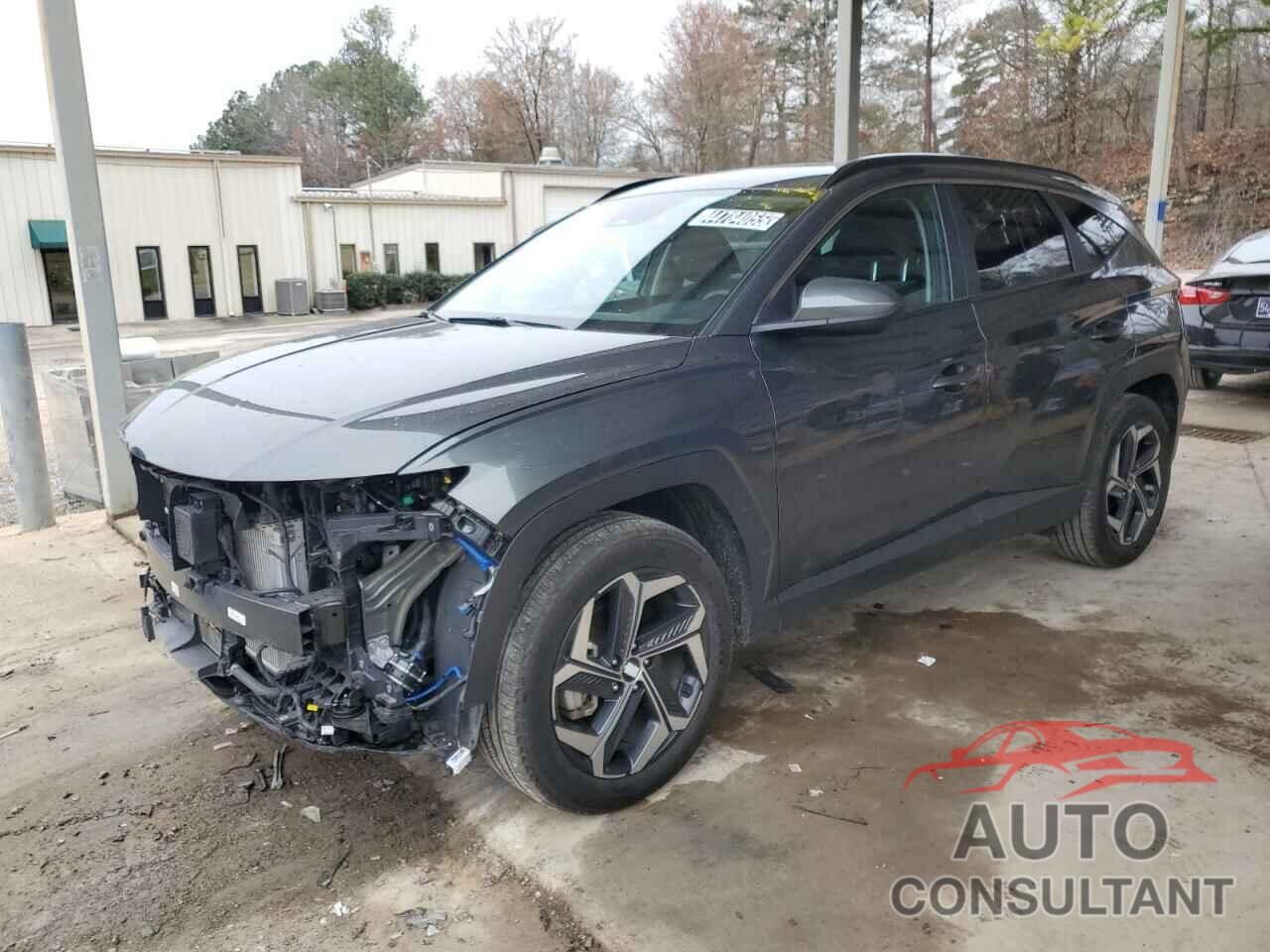 HYUNDAI TUCSON 2024 - KM8JBDD24RU171093