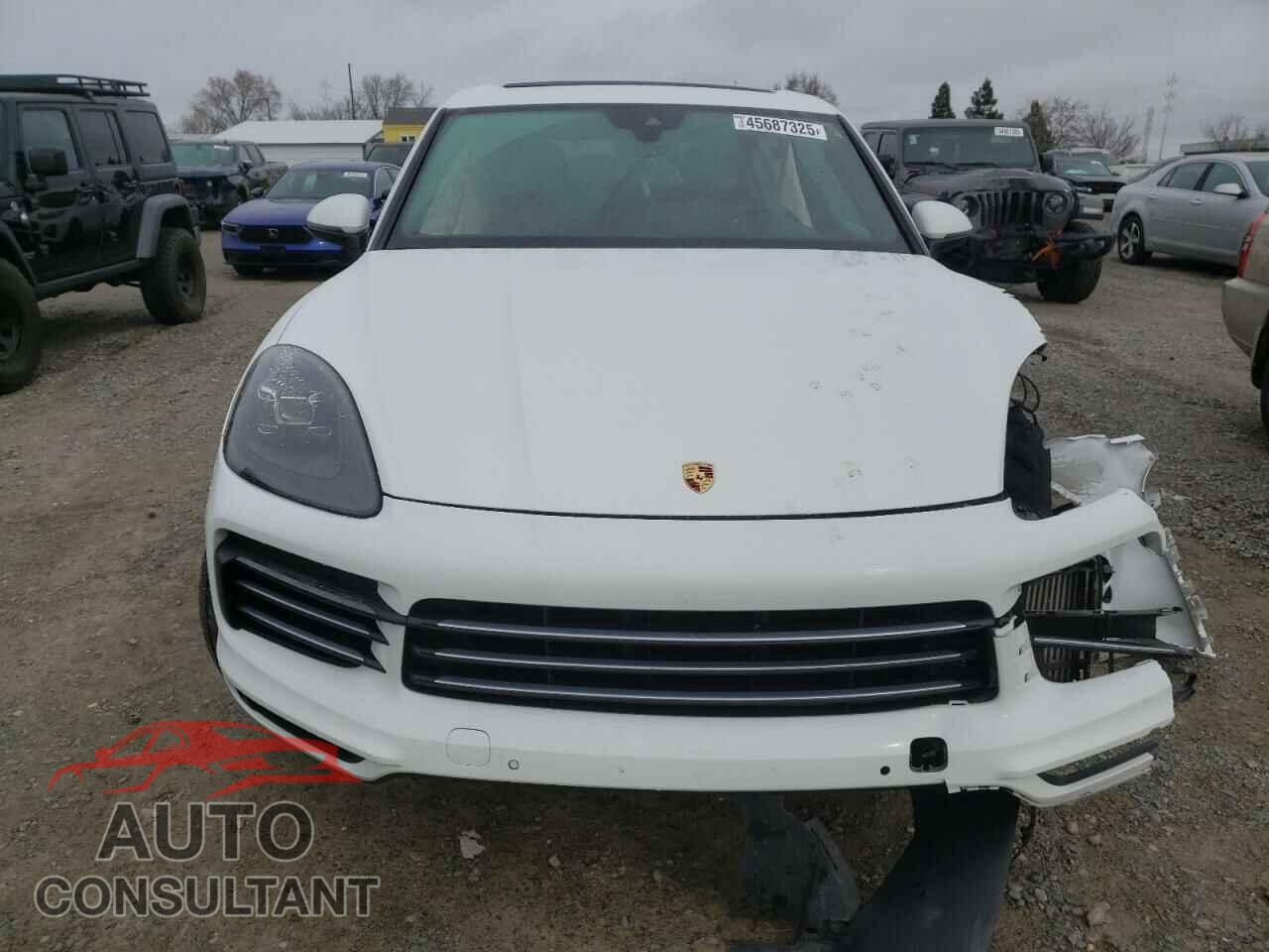 PORSCHE CAYENNE 2019 - WP1AA2AY6KDA15498