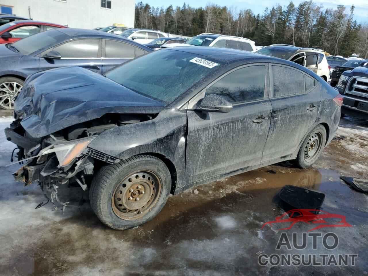 HYUNDAI ELANTRA 2020 - KMHD84LFXLU102464
