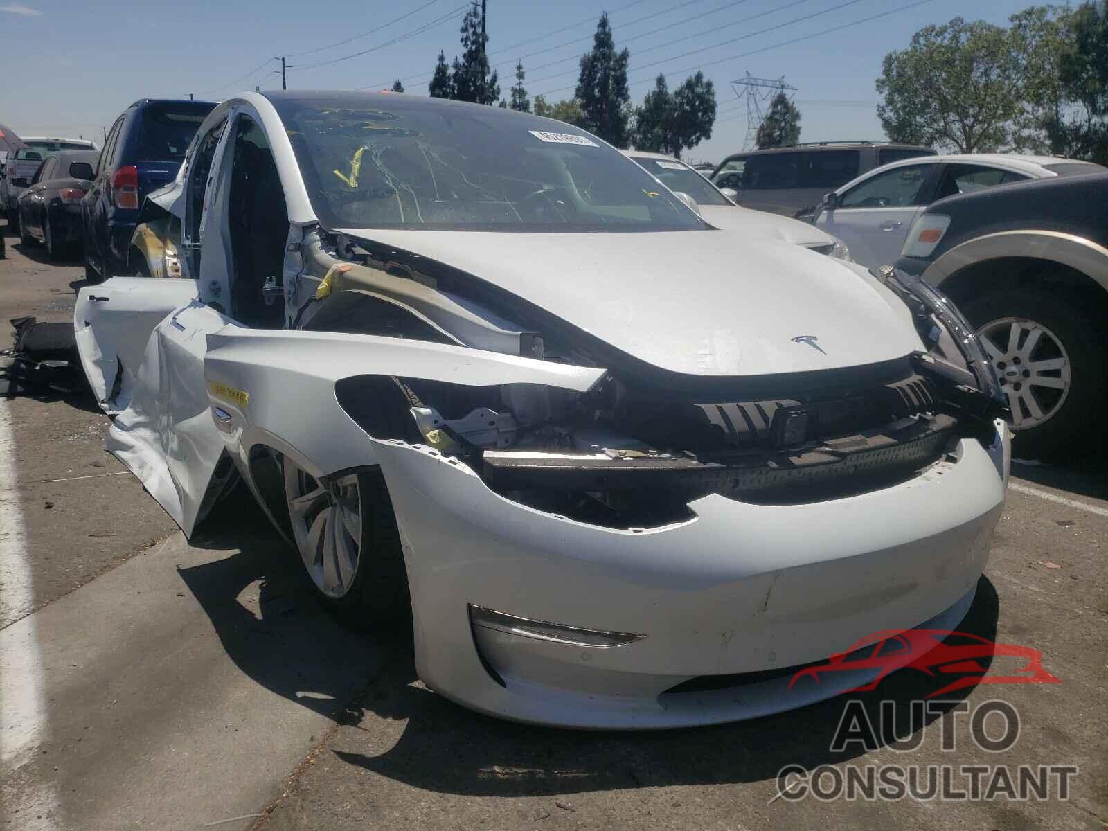 TESLA MODEL 3 2019 - 5YJ3E1EAXKF301515