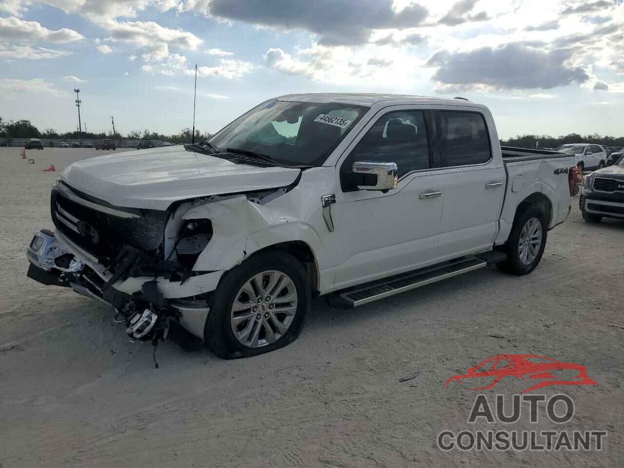 FORD F150 LARIA 2024 - 1FTFW5L81RFA66283