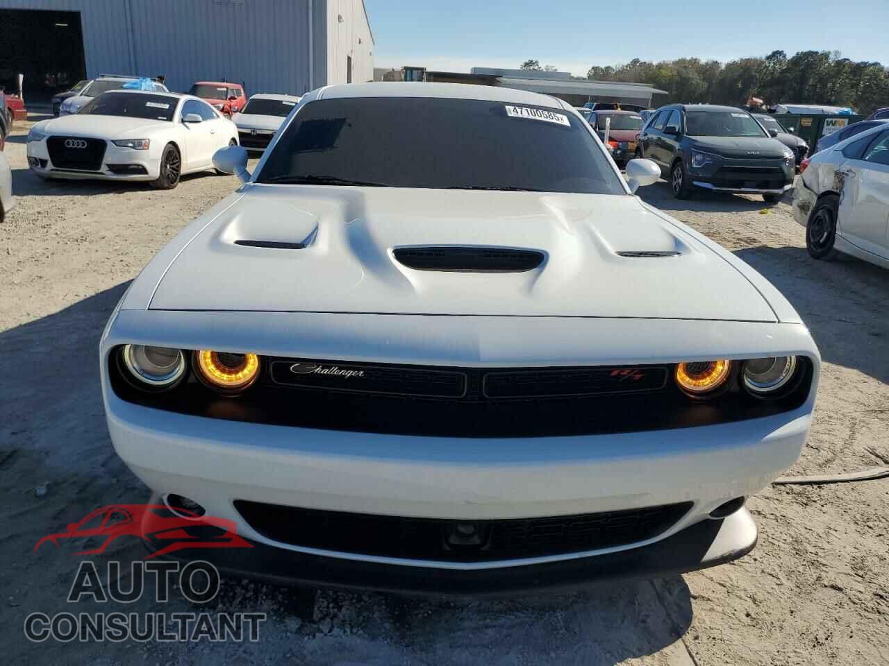 DODGE CHALLENGER 2021 - 2C3CDZFJ6MH597523