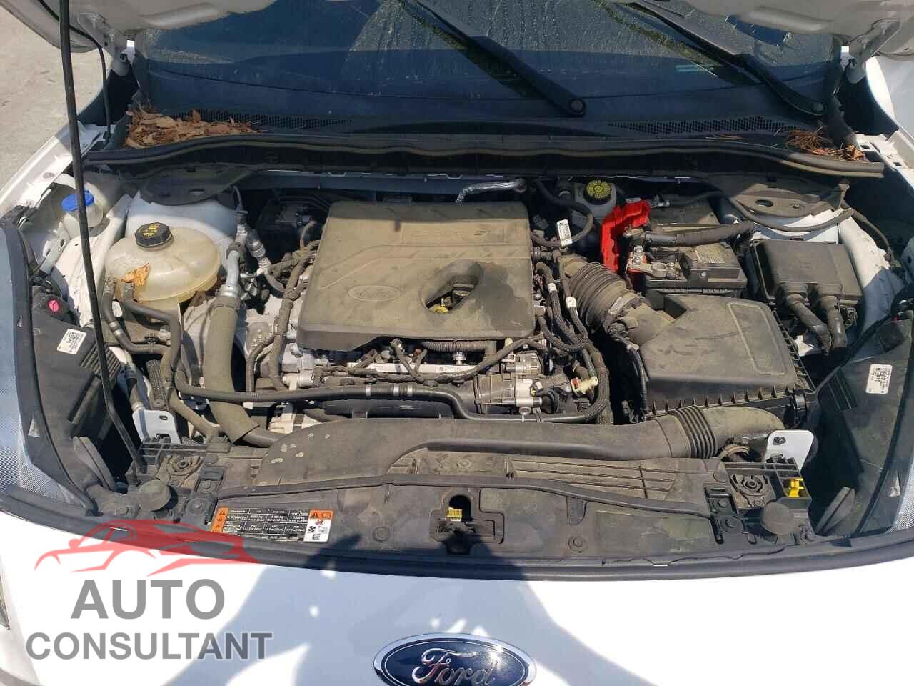 FORD ESCAPE 2020 - 1FMCU0F62LUA22894