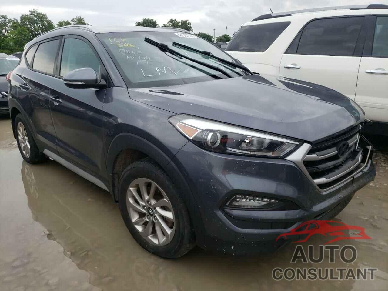 HYUNDAI TUCSON 2017 - KM8J3CA41HU404617
