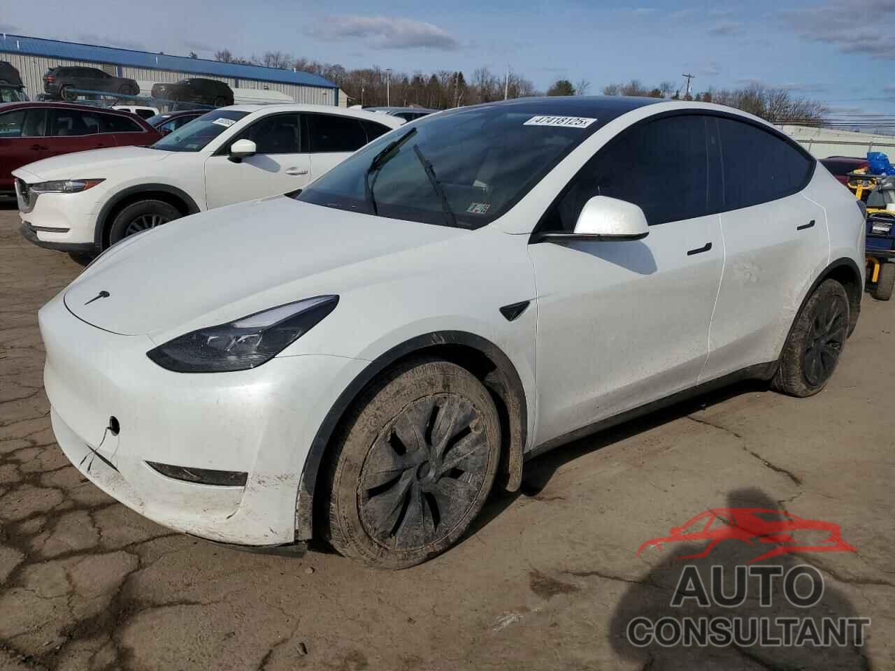 TESLA MODEL Y 2024 - 7SAYGAEE4RF149974