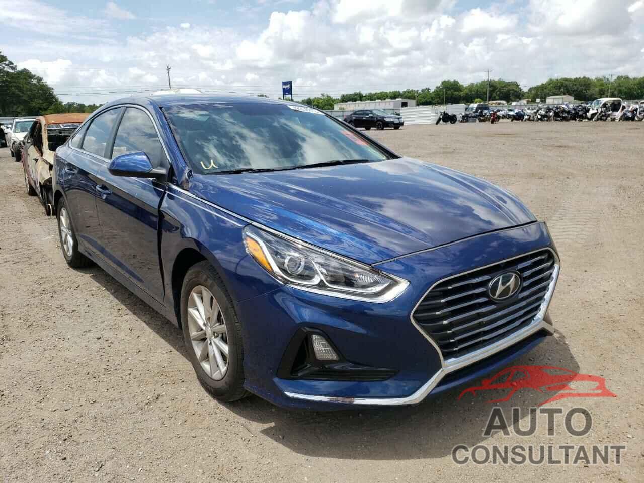 HYUNDAI SONATA 2019 - 5NPE24AF4KH740795