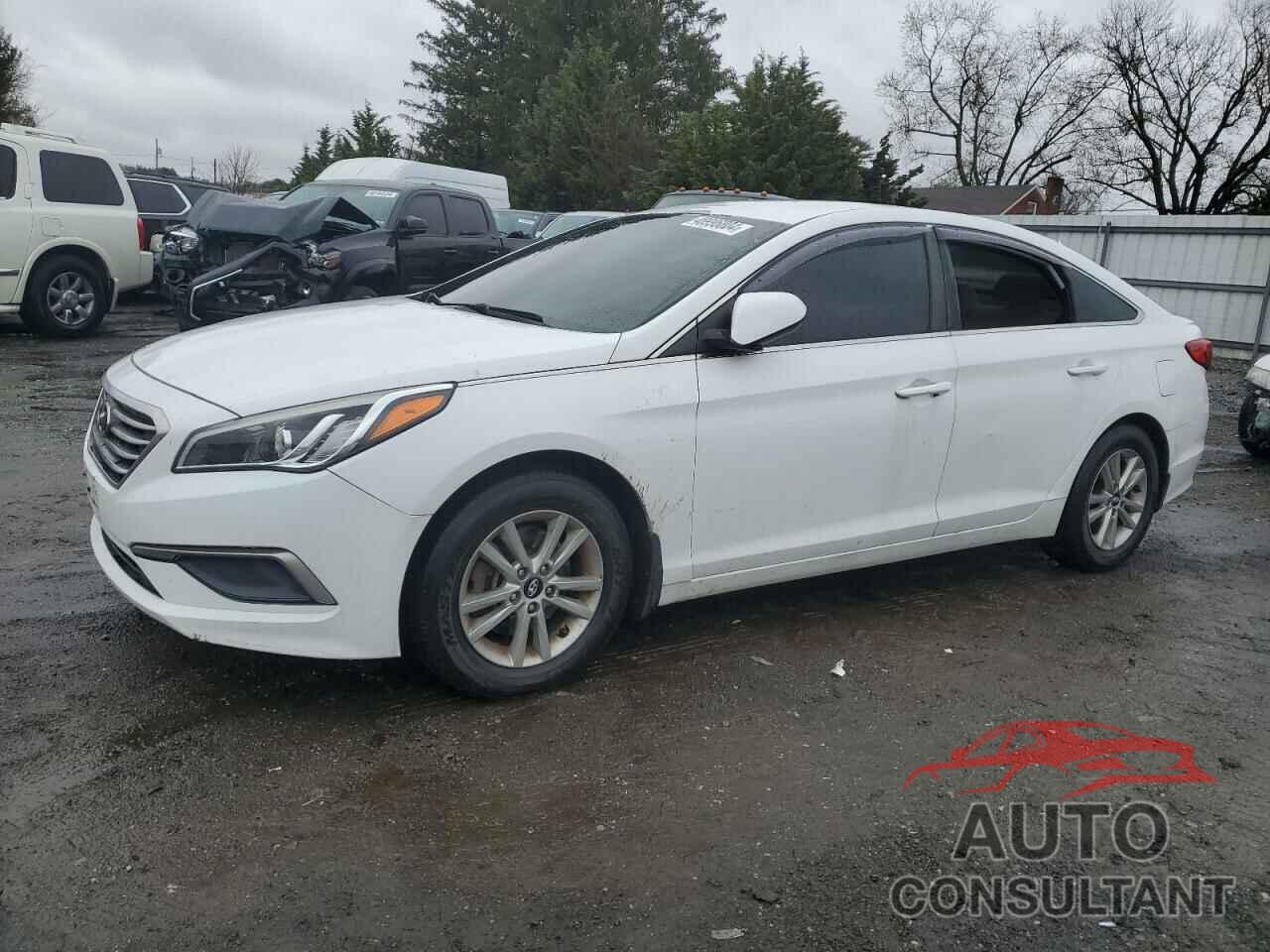 HYUNDAI SONATA 2017 - 5NPE24AF5HH489052
