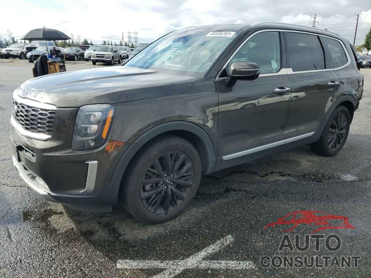 KIA TELLURIDE 2021 - 5XYP54HC7MG191227