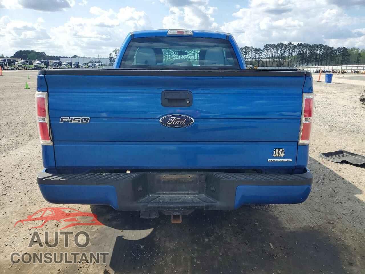 FORD F150 2013 - 1FTFX1CF9DFD98842