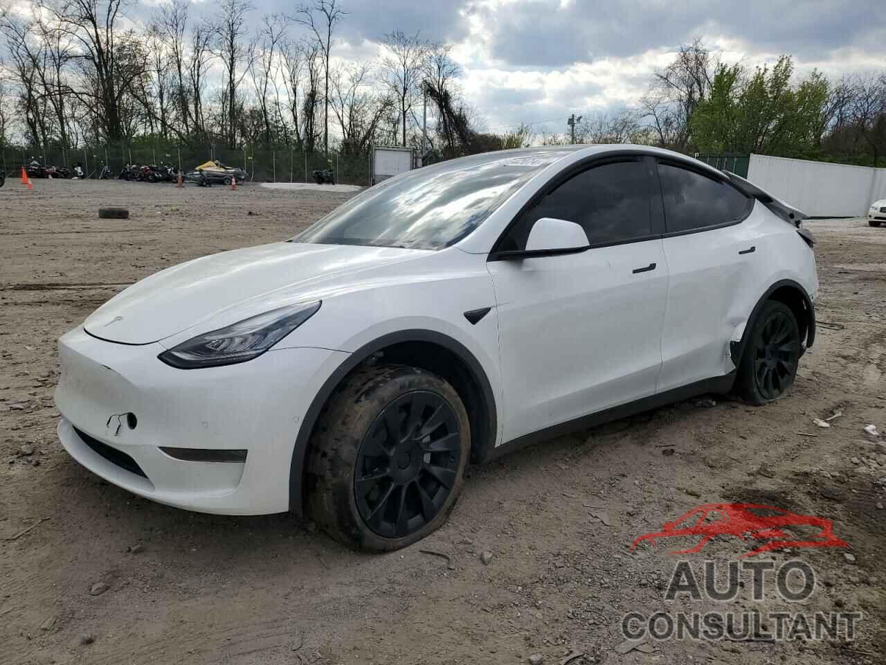 TESLA MODEL Y 2020 - 5YJYGDEEXLF008395