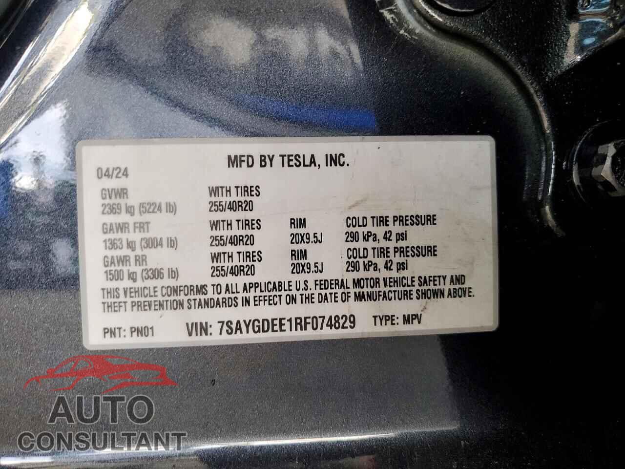 TESLA MODEL Y 2024 - 7SAYGDEE1RF074829