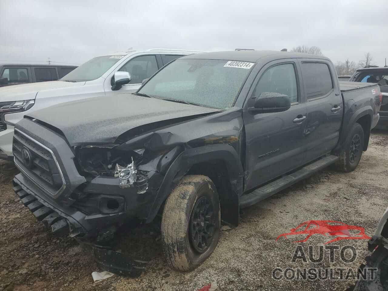 TOYOTA TACOMA 2023 - 3TMCZ5AN8PM594516