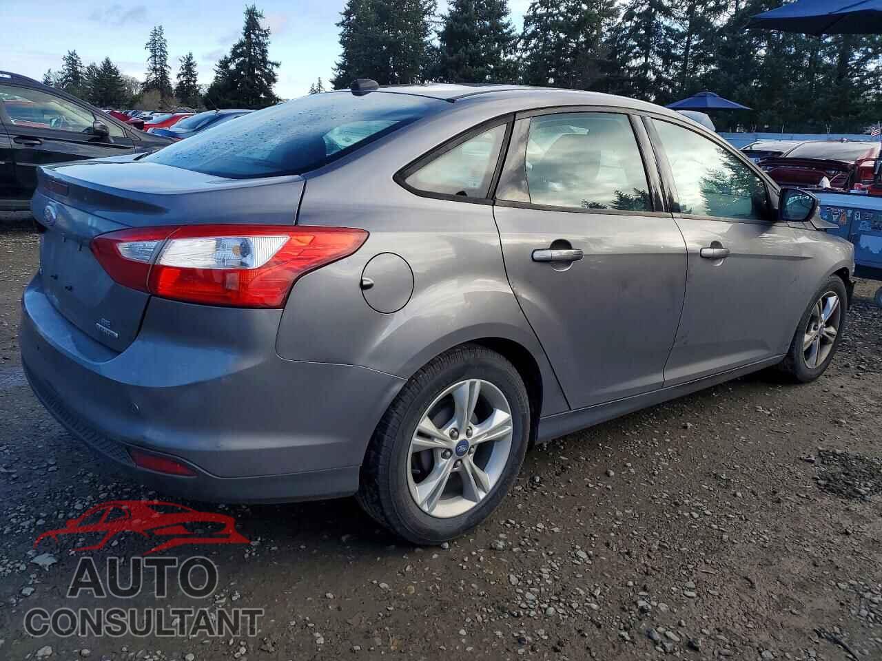 FORD FOCUS 2014 - 1FADP3F25EL215134
