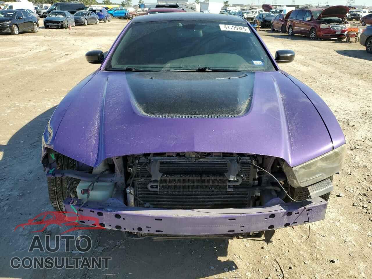 DODGE CHARGER 2013 - 2C3CDXEJ2DH740845