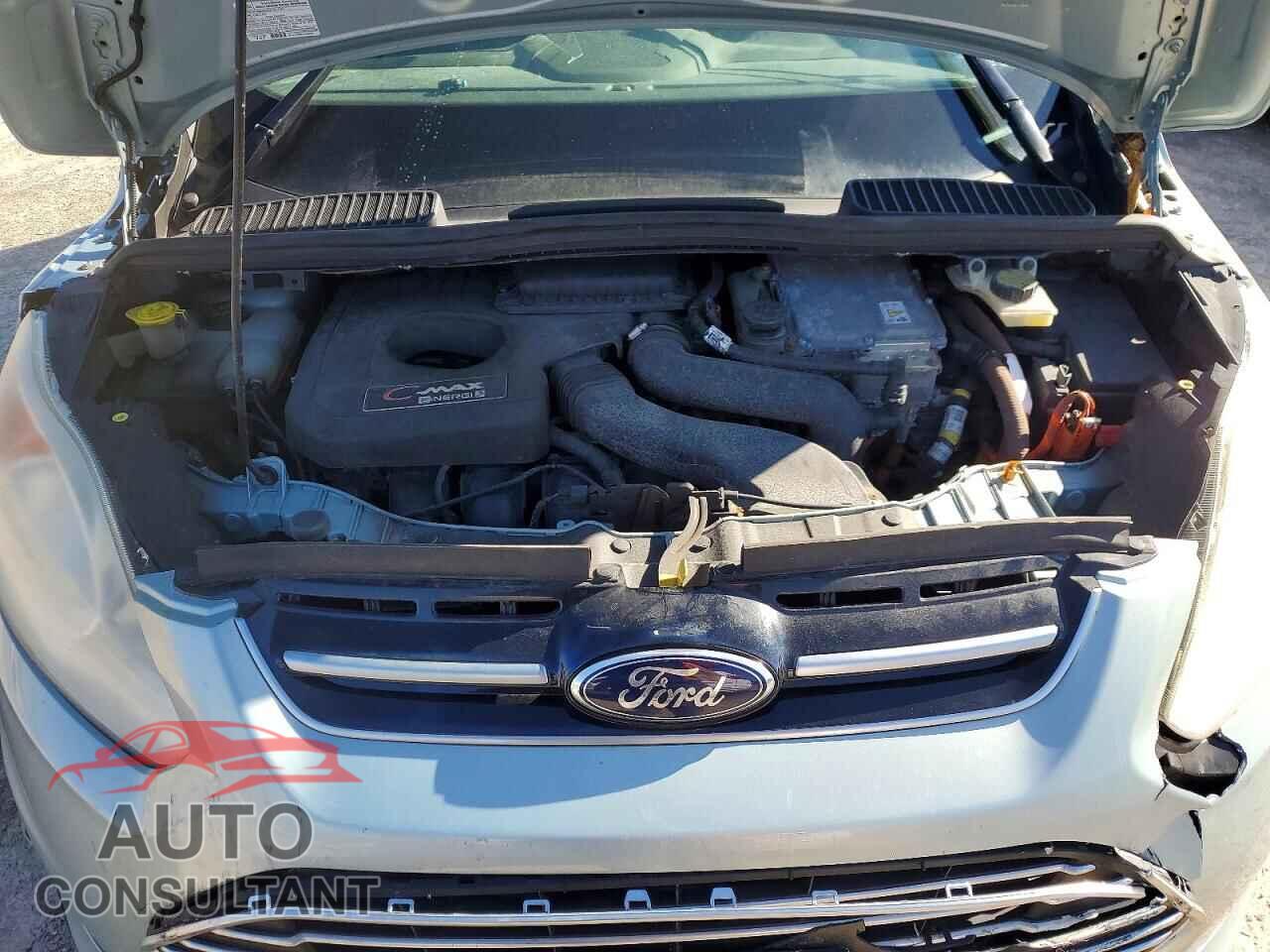 FORD C-MAX 2014 - 1FADP5CU3EL508242