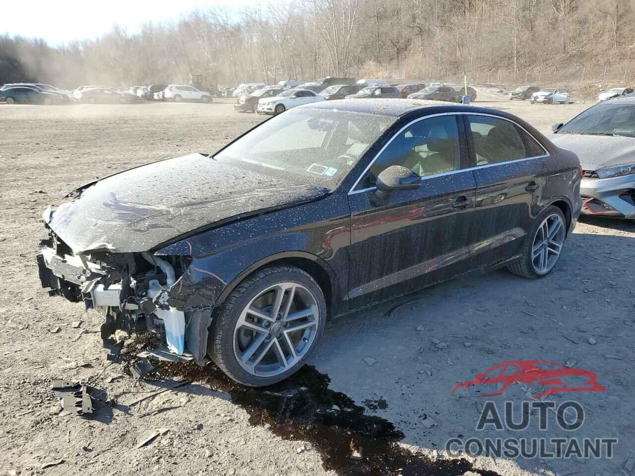 AUDI A3 2019 - WAUBEGFF9KA116421