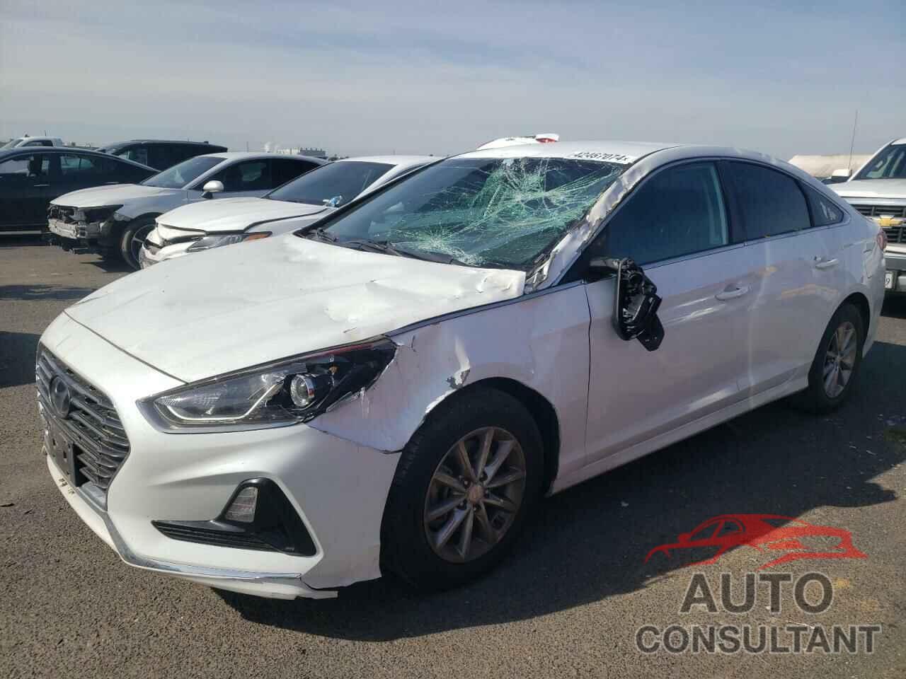 HYUNDAI SONATA 2019 - 5NPE24AF9KH801333