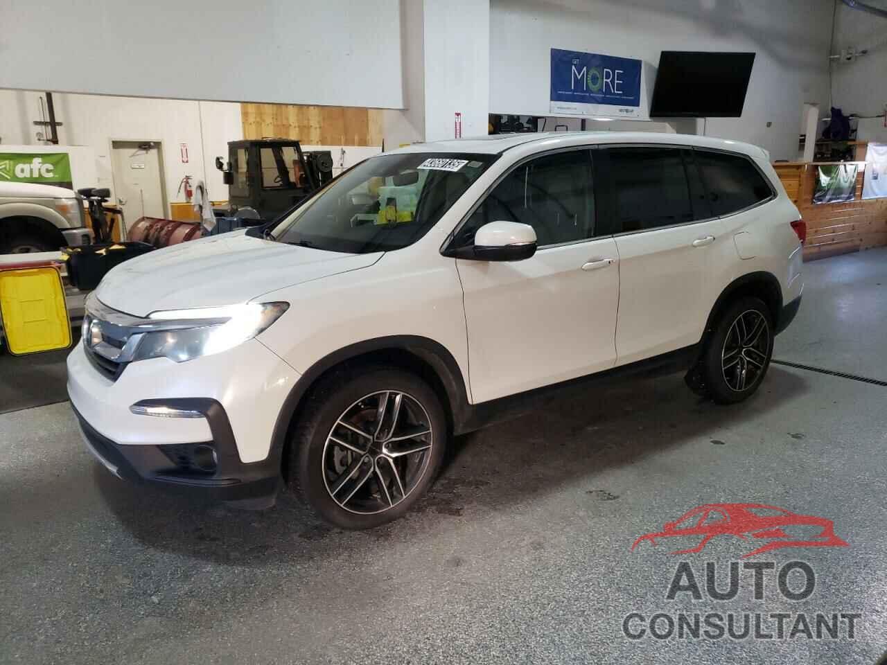 HONDA PILOT 2020 - 5FNYF6H58LB017834