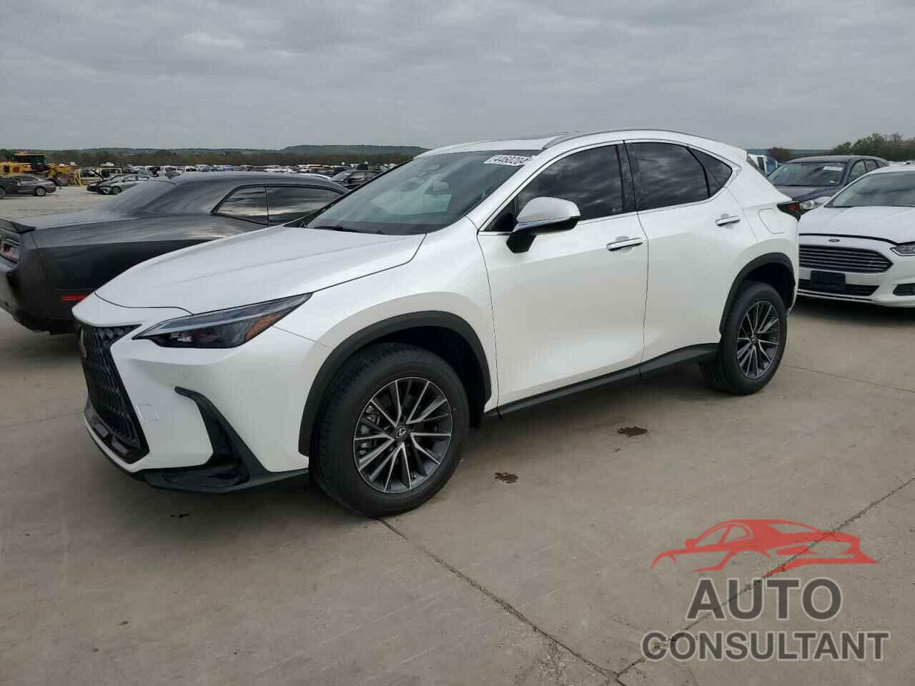 LEXUS NX 350 2023 - 2T2GGCEZ4PC022033