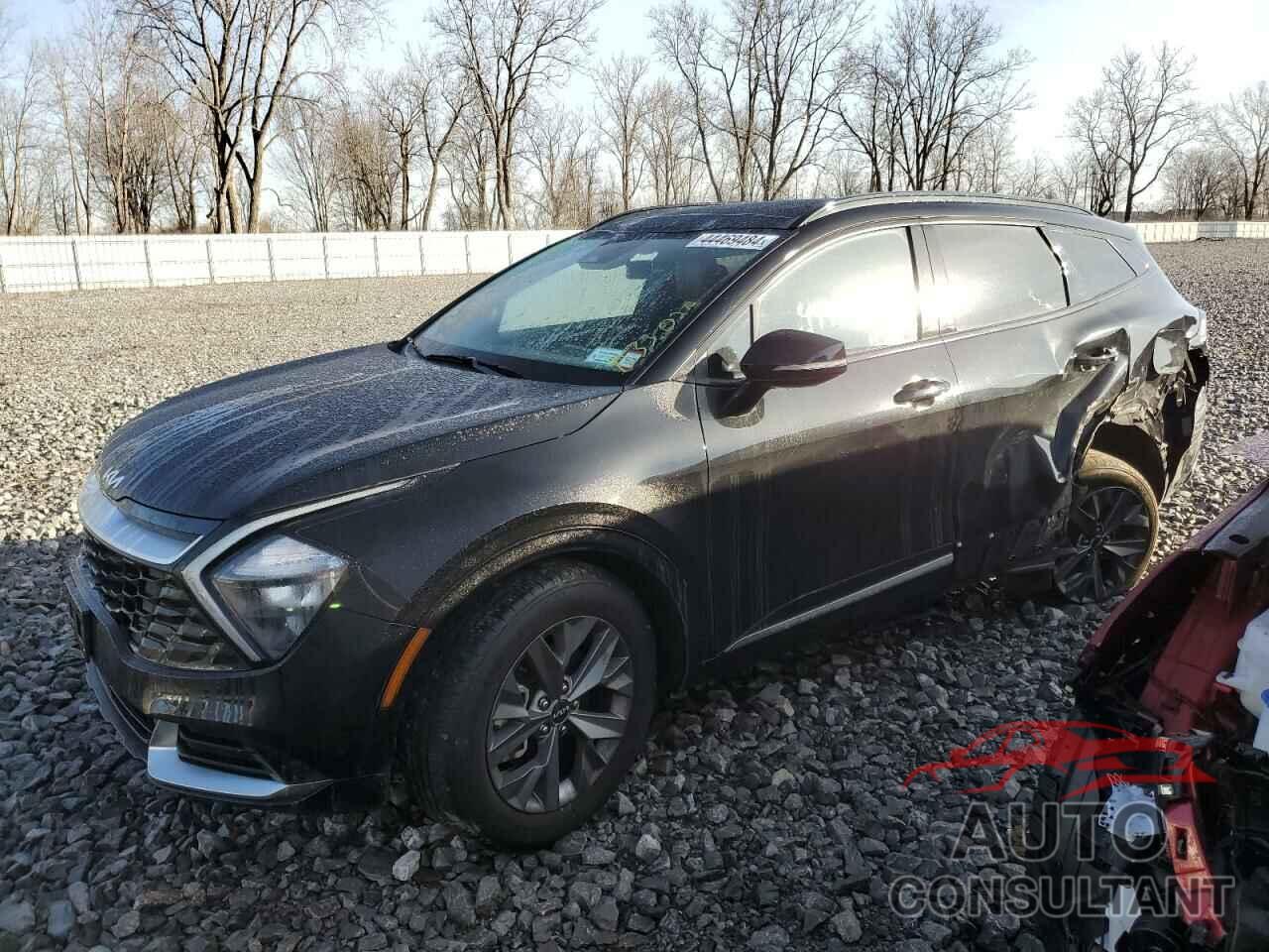 KIA SPORTAGE 2023 - 5XYK43AF8PG027873