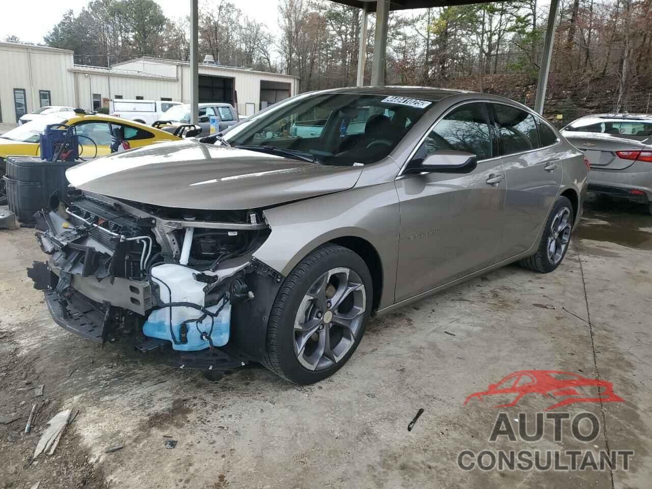 CHEVROLET MALIBU 2024 - 1G1ZD5ST1RF220248