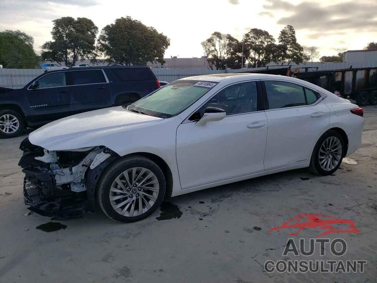 LEXUS ES300 2019 - 58AB21B13KU001240