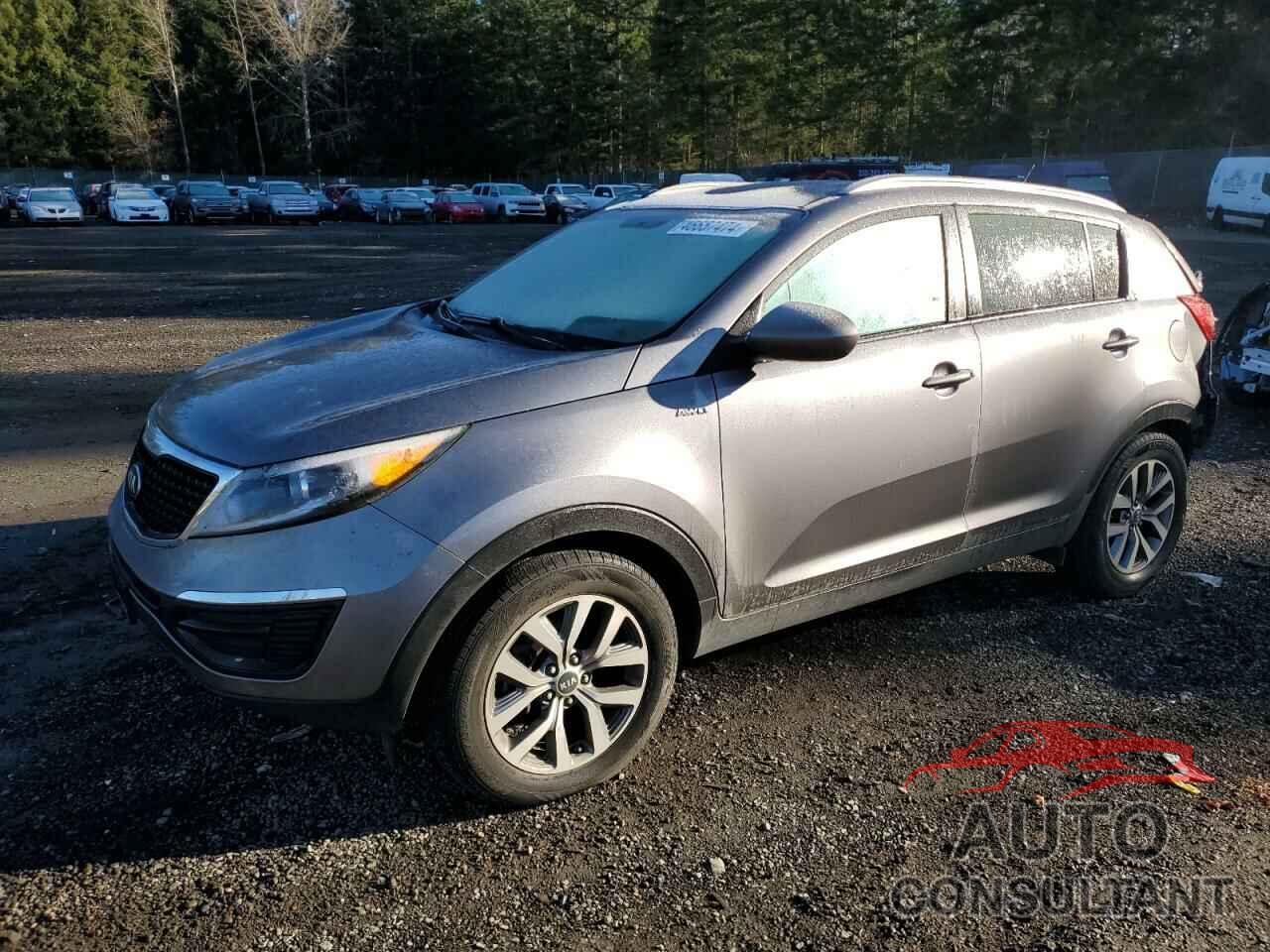 KIA SPORTAGE 2016 - KNDPBCAC9G7798311