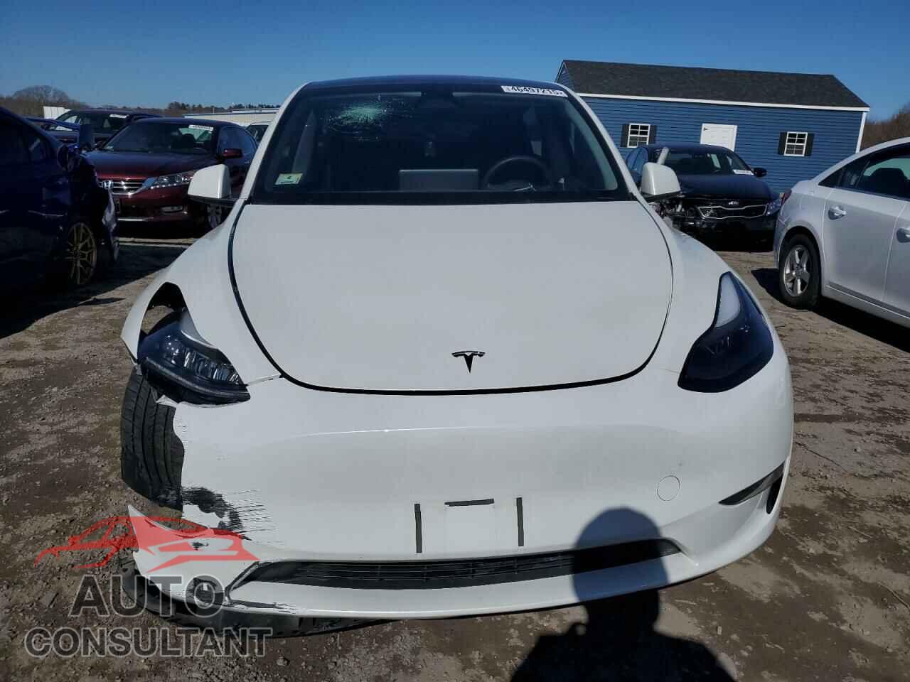 TESLA MODEL Y 2023 - 7SAYGDEF5PF797170