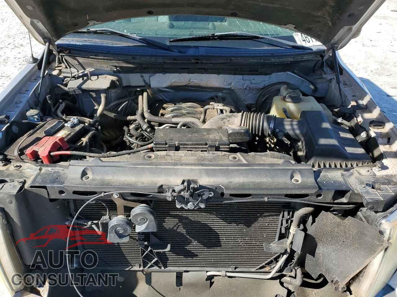 FORD F150 2011 - 1FTFX1CF5BFB58605