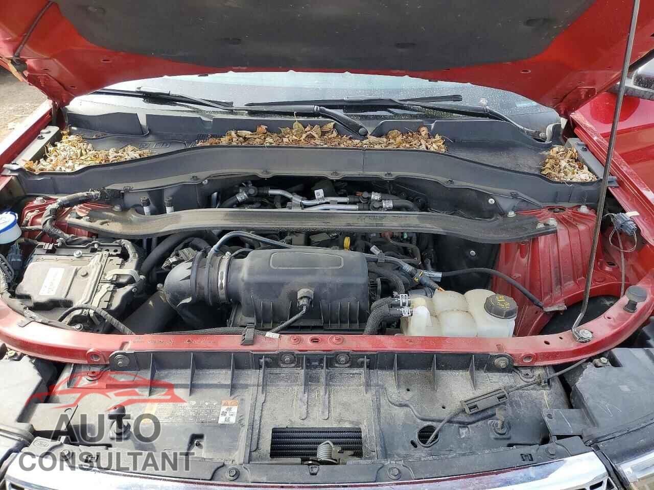 FORD EXPLORER 2022 - 1FMSK8FH4NGA31972
