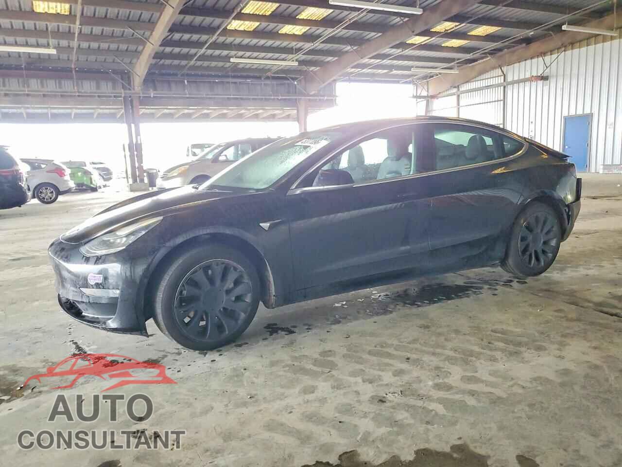 TESLA MODEL 3 2019 - 5YJ3E1EA8KF399475