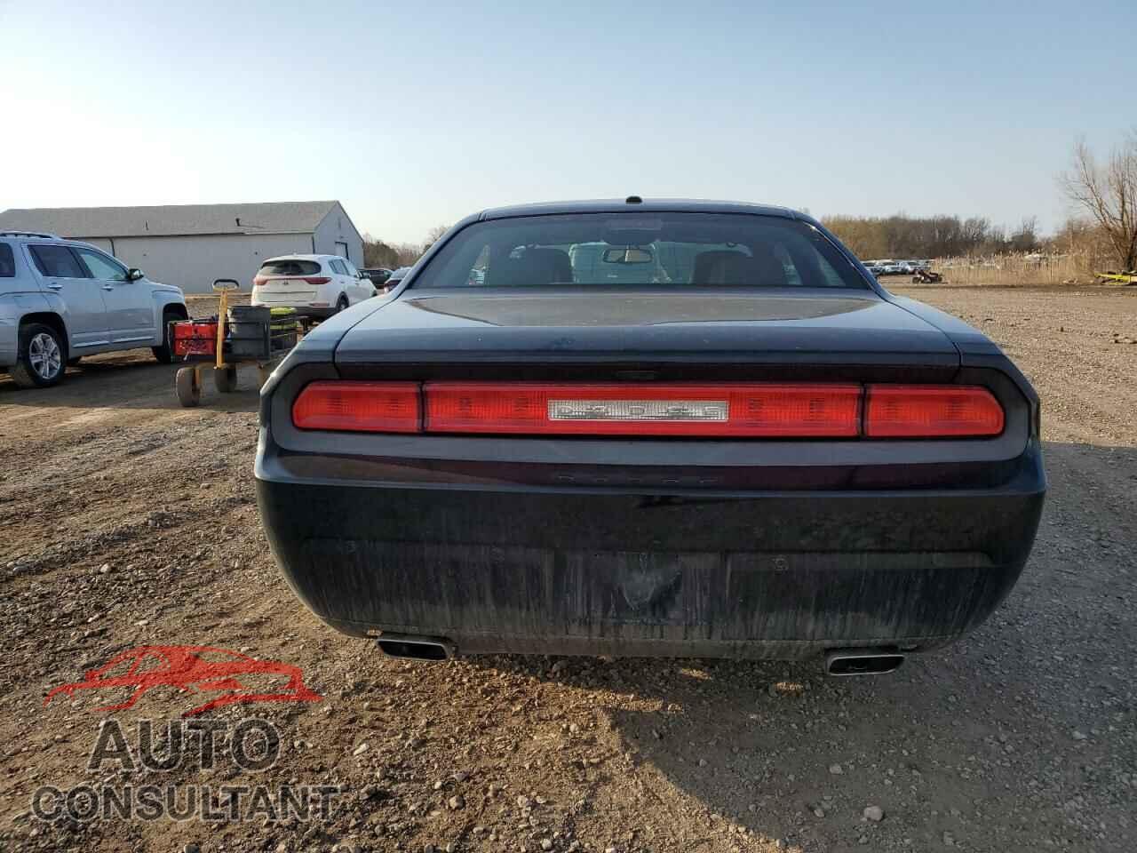 DODGE CHALLENGER 2013 - 2C3CDYAG0DH549098