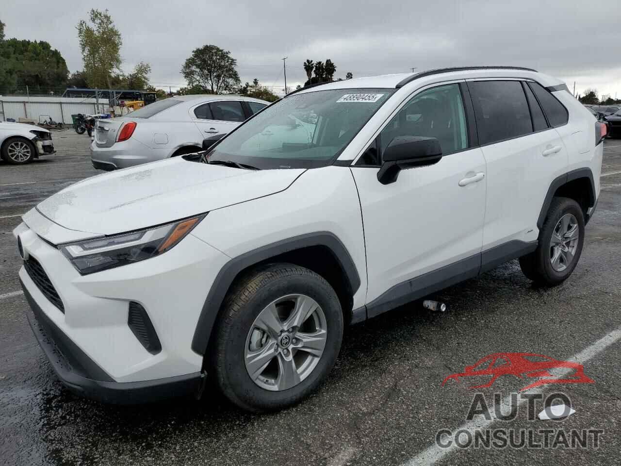 TOYOTA RAV4 2024 - 4T3LWRFV8RU148909