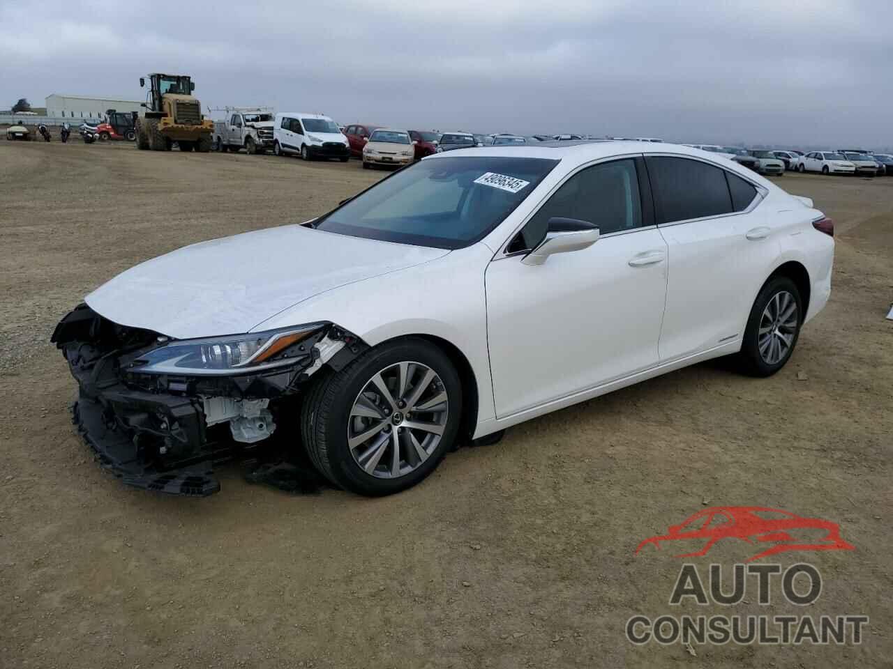 LEXUS ES300 2021 - 58ACA1C17MU005719