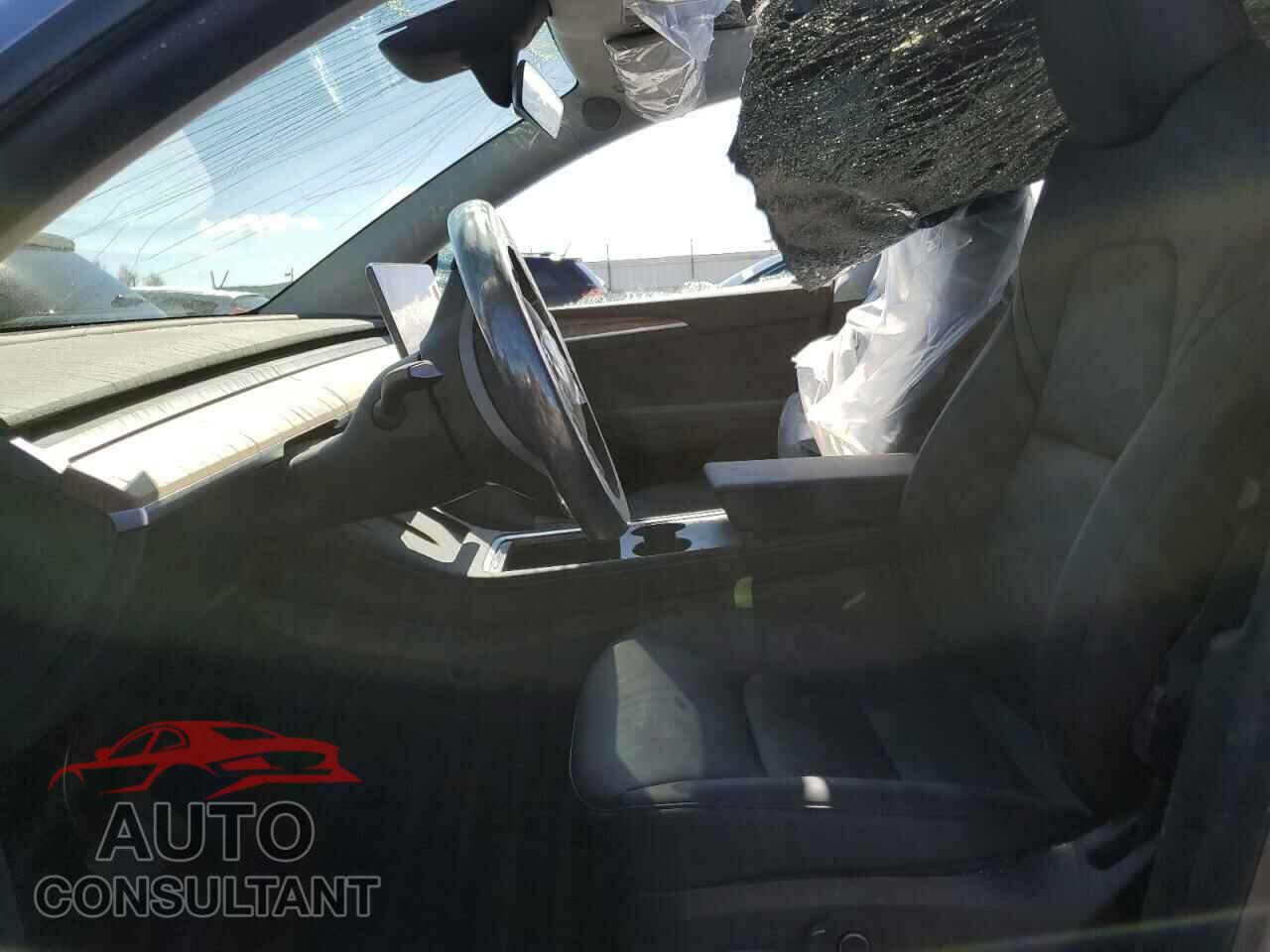 TESLA MODEL Y 2025 - 7SAYGDEE7SF299391