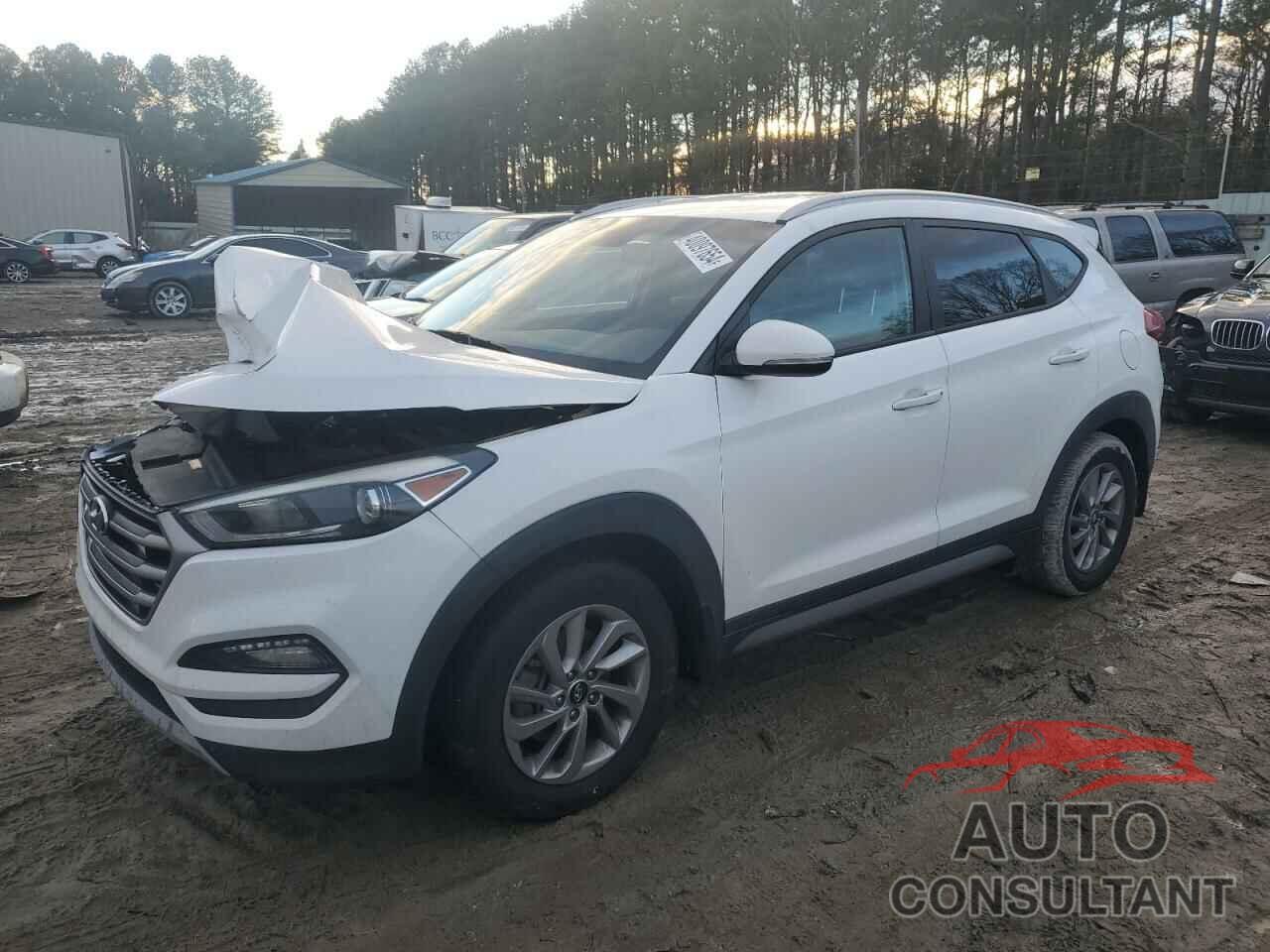 HYUNDAI TUCSON 2017 - KM8J3CA26HU325460