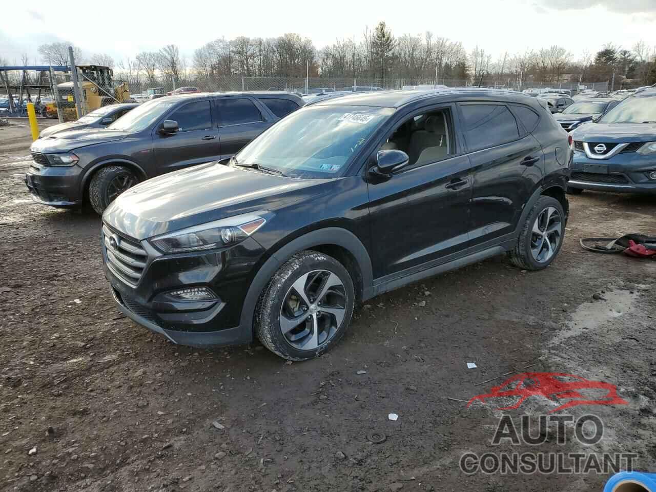 HYUNDAI TUCSON 2016 - KM8J3CA25GU177512