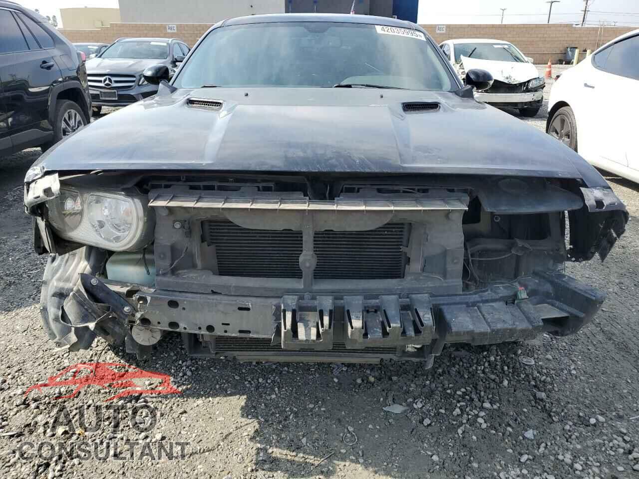 DODGE CHALLENGER 2014 - 2C3CDYBT2EH257563