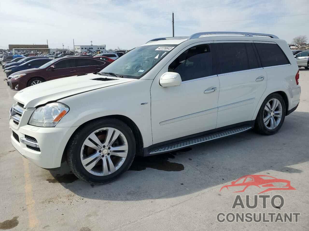 MERCEDES-BENZ GL-CLASS 2010 - 4JGBF2FE4AA543574