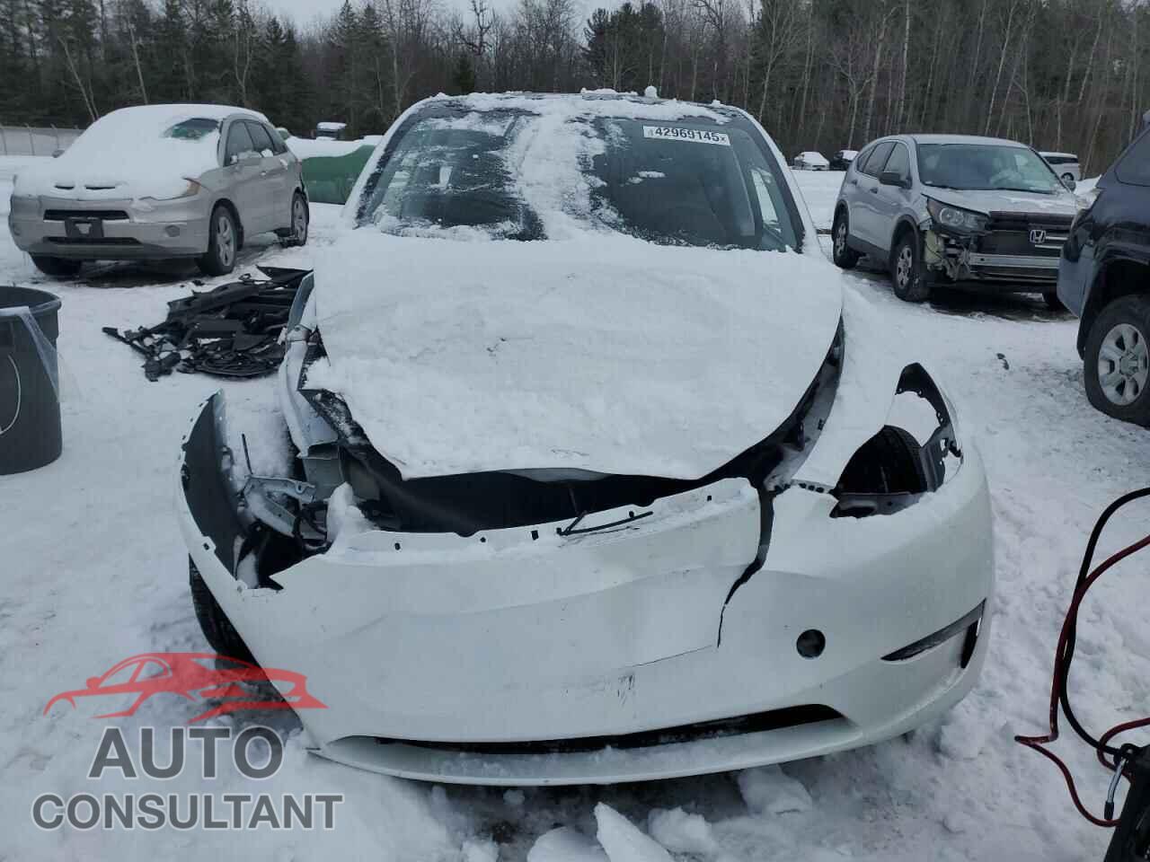 TESLA MODEL Y 2024 - 7SAYGDEE2RF104114