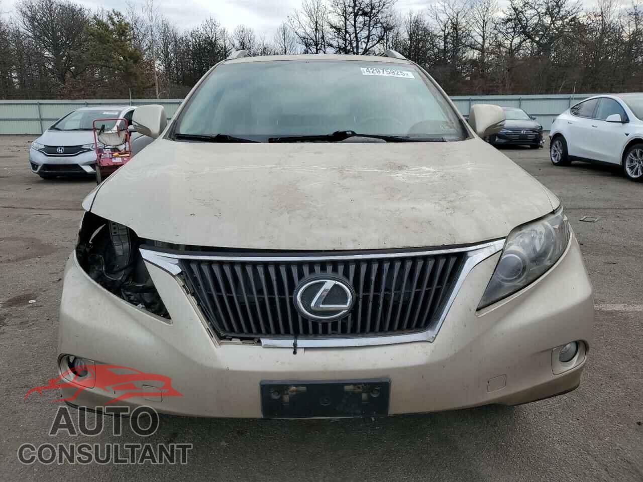 LEXUS RX350 2011 - 2T2BK1BA2BC092652