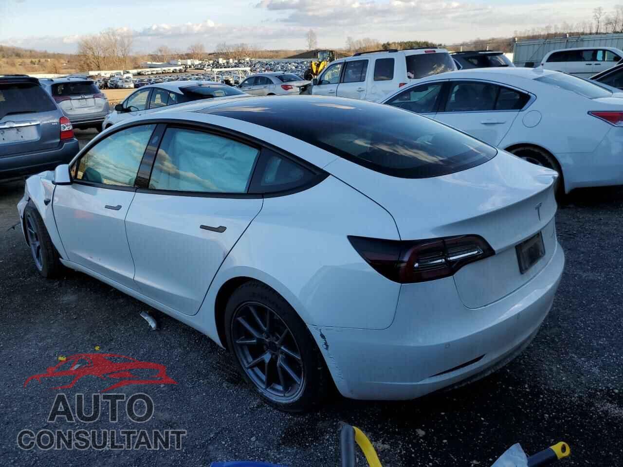 TESLA MODEL 3 2021 - 5YJ3E1EB3MF027621