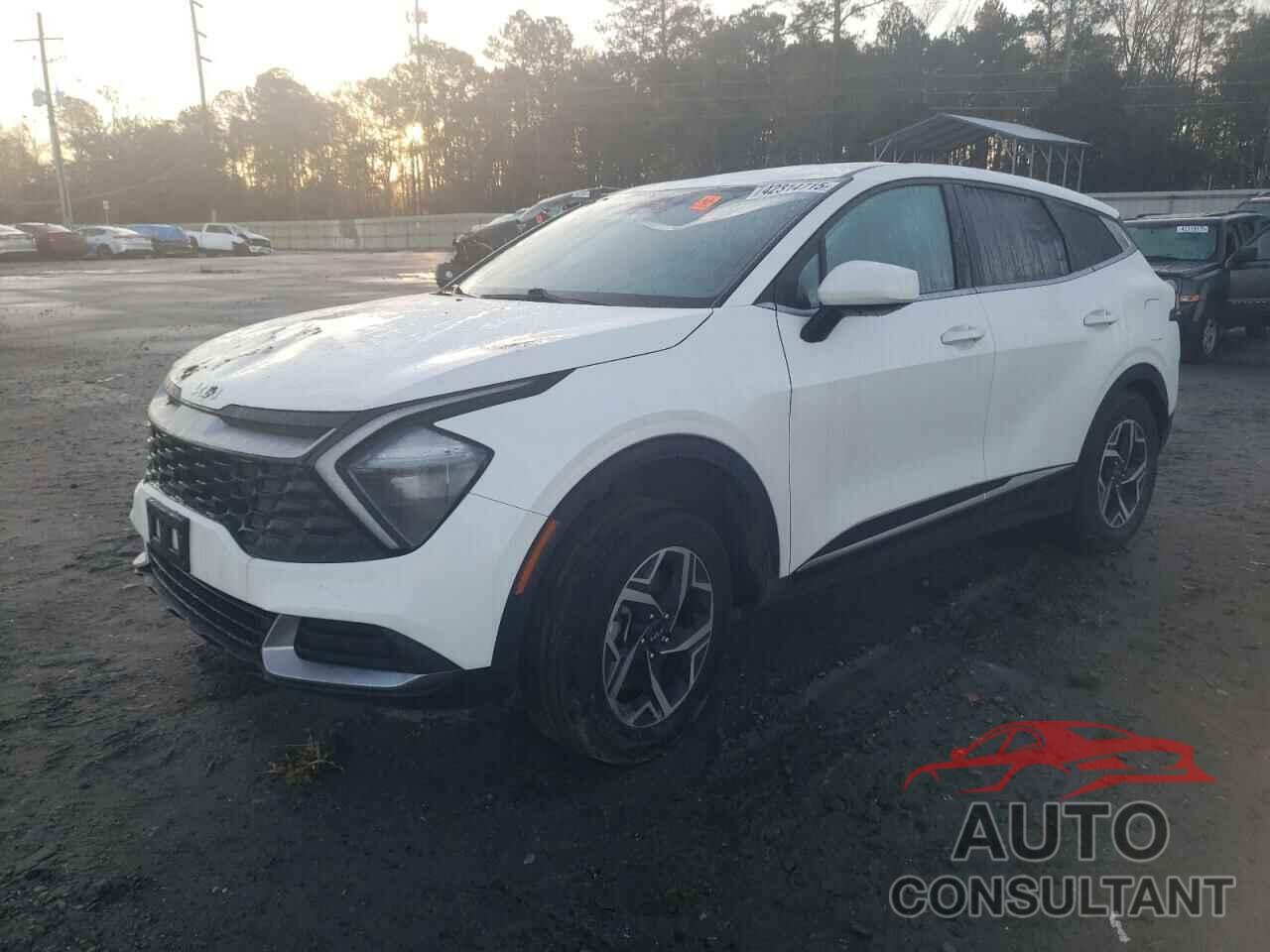 KIA SPORTAGE 2023 - KNDPUCAF1P7086847
